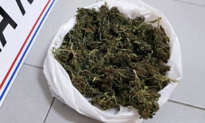 YENİŞEHİR'DE ESRAR OPERASYONU